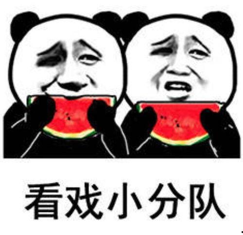 吃瓜表情包是什么意思,揭秘网络社交中的“围观”文化现象